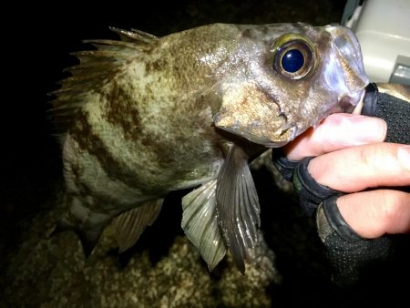 何処も鉄壁のディフェンスっ!!