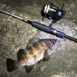 自己記録更新っ!!