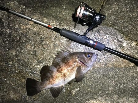 自己記録更新っ!!