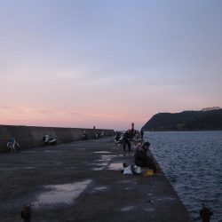 加太大波止でサバ