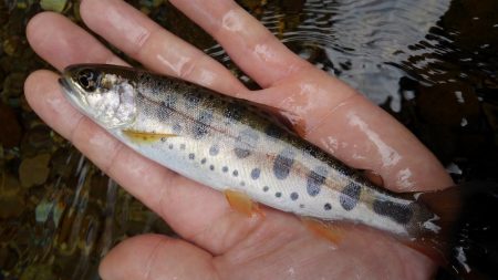 暖かくなったけど、渇水