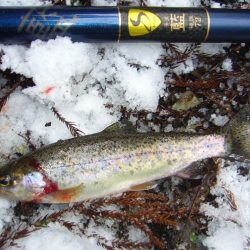 渓流釣り解禁後の初釣行