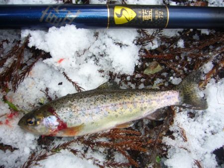 渓流釣り解禁後の初釣行