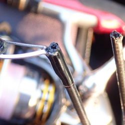 エリアトラウト（FRS）