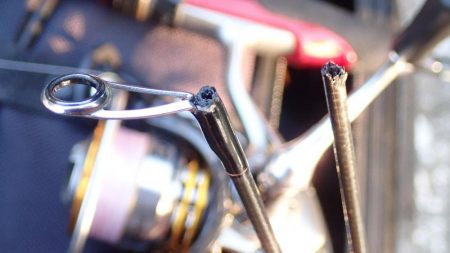 エリアトラウト（FRS）