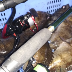 ひらすらメバル