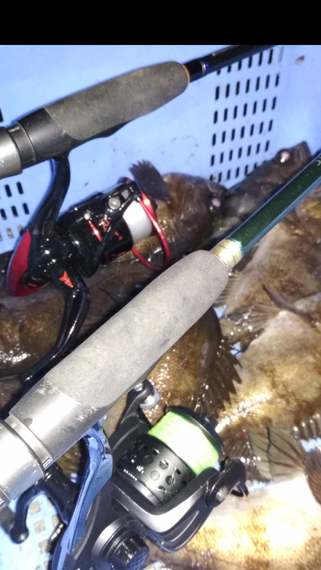 ひらすらメバル