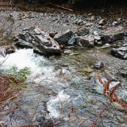 アマゴ釣り Vo,2