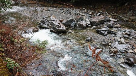 アマゴ釣り Vo,2