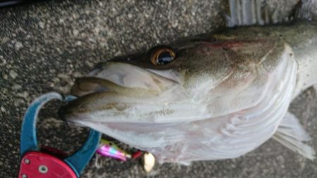 雨の前の短時間朝練！
