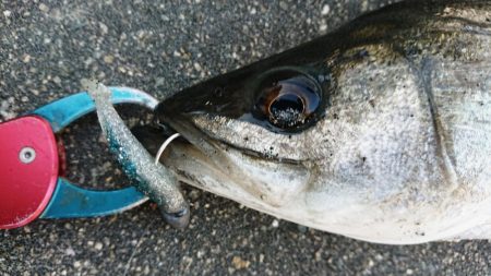 にわか雨の寒い夕練
