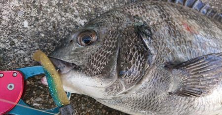 雨の日曜日三種目達成