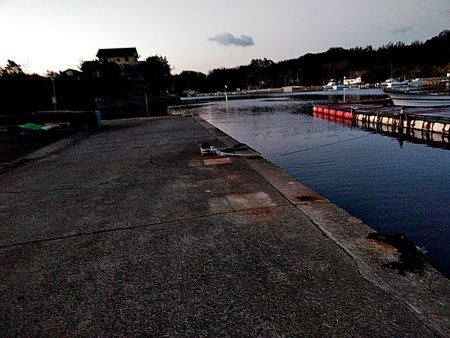 アジングに挑戦中!!