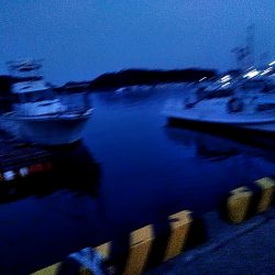 サビキ釣りで、アジ釣れました!!