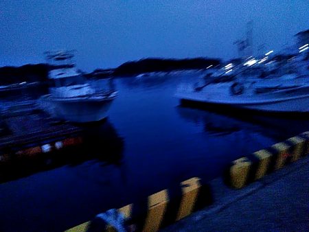 サビキ釣りで、アジ釣れました!!