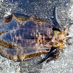 久しぶりのいっぱいでした!!