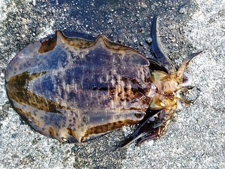 久しぶりのいっぱいでした!!