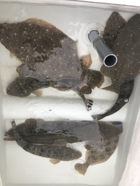 Magic(マジック) 釣果