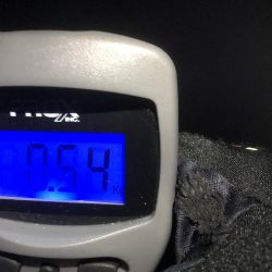 椿でエギング春イカ調査