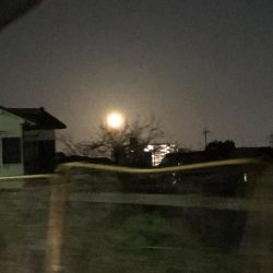 大ウネリでエギング湾奥にアオリイカ