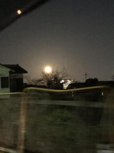 大ウネリでエギング湾奥にアオリイカ