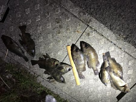 ジュンコパイセンと聖地への巻