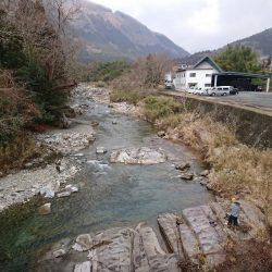 揖保川ニジマスばっかり