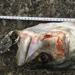 セットアッパーでスズキ