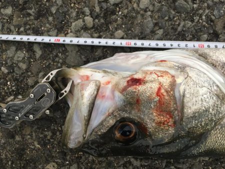 セットアッパーでスズキ