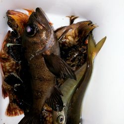 北風に吹かれて･･･