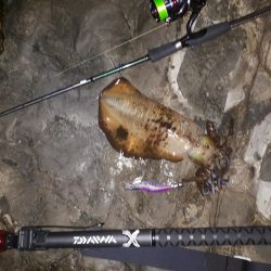 久しぶりの釣行