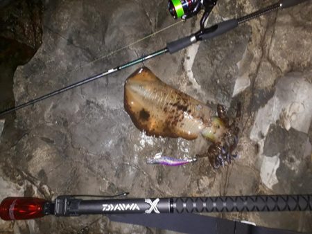 久しぶりの釣行