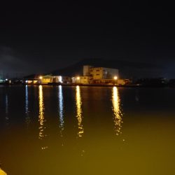 2ヶ月ぶりの釣果