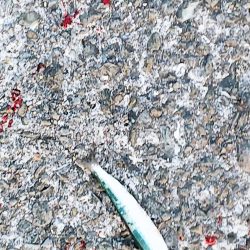 魚へんに春で・・・