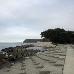 セットアッパーいわし