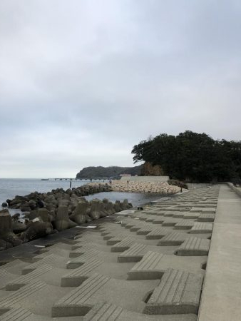 セットアッパーいわし