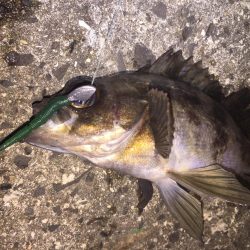 出張先の楽しみ⑤