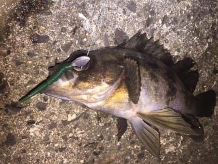 出張先の楽しみ⑤