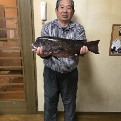 コブダイ釣り？