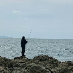 トップブリ&メーターブリでた！