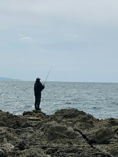 トップブリ&メーターブリでた！