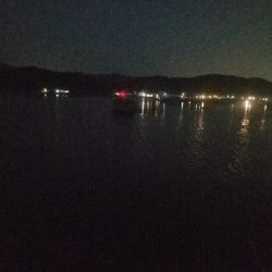 サバ釣り ~夕方に回遊してきた!~