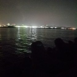 ガシラ釣り　～ポツポツ当たりが。～