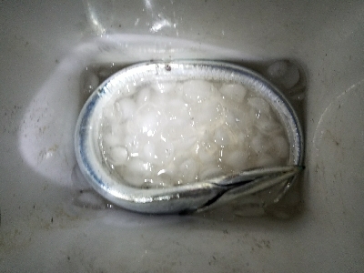 タチウオ釣り ~粘る価値アリ!~