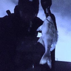 釣りにグビッたけ!~武庫川河口でチニング~