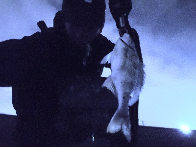 釣りにグビッたけ!~武庫川河口でチニング~