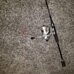 ガシラ釣り ~当たりは少ない~