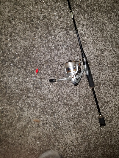 ガシラ釣り ~当たりは少ない~