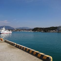 サビキからのエギング！