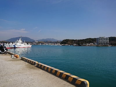 サビキからのエギング！